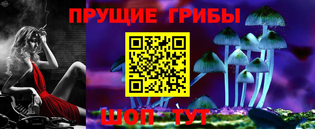 Качканар  Псилоцибиновые грибы Cubensis  Вход с VPN 